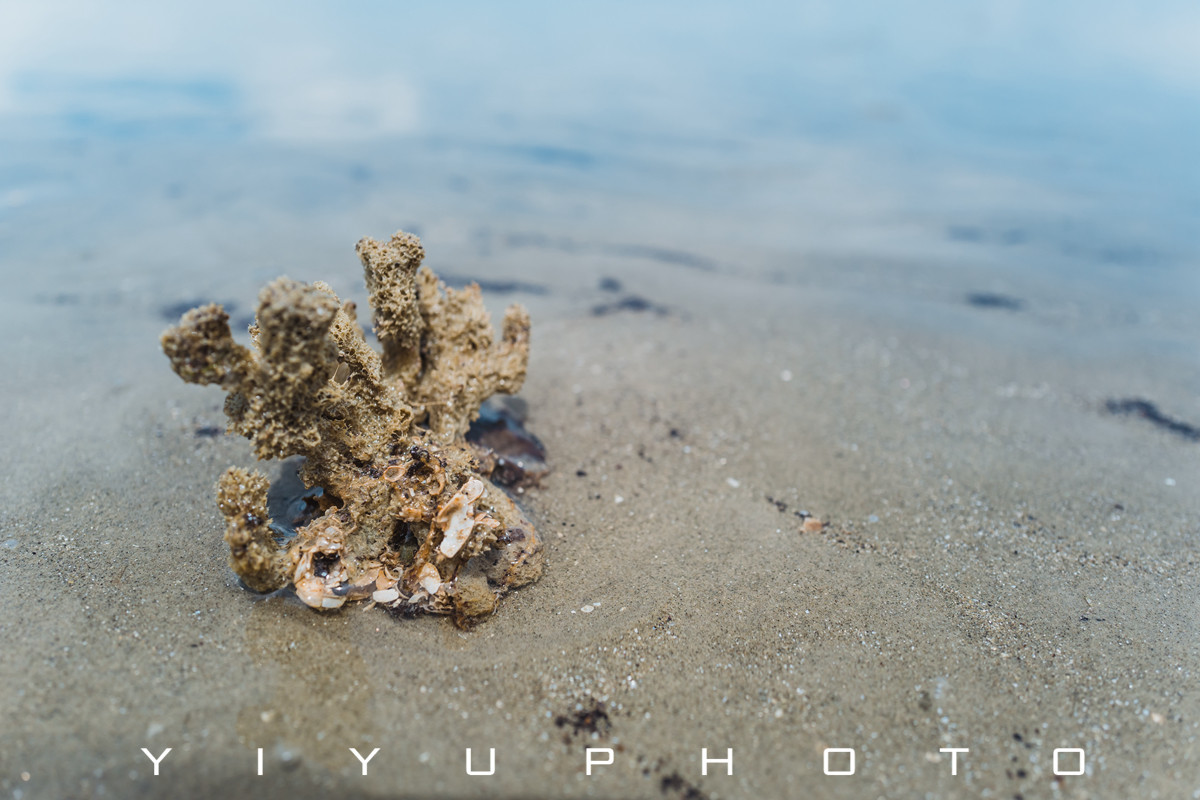 悠游一夏,马来西亚——六日自由行攻略