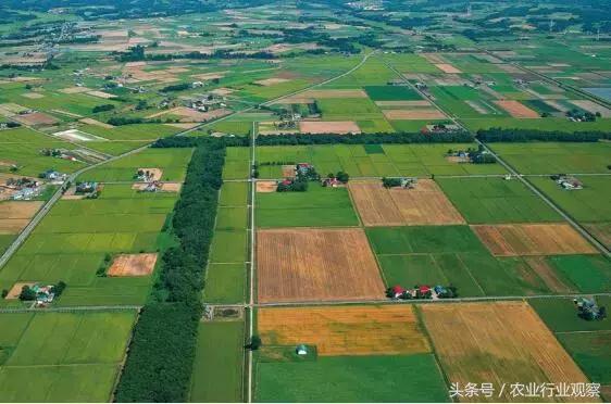 对话｜佳格天地张文鹏：服务和价值是农业大数据公司存在的意义