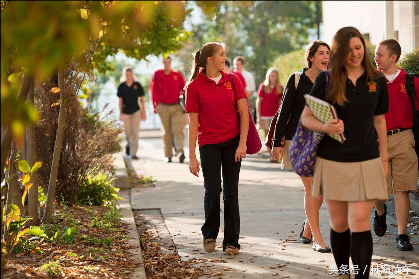 suv阿尔法罗密欧与英菲尼迪qx50,朗逸vs英菲尼迪qx50