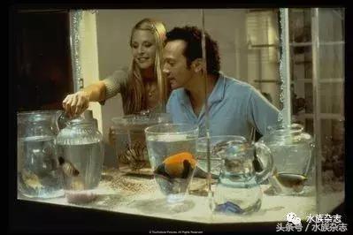 水族电影科幻,水族剧情视频