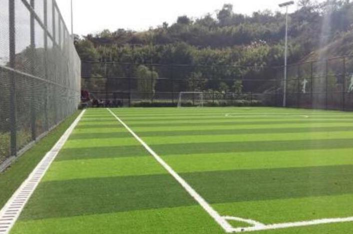 乐蒽人造草坪,乐蒽人造草坪有限公司