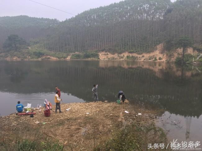 奔横县只为巴西雕，遇降温无奈成掐鲤