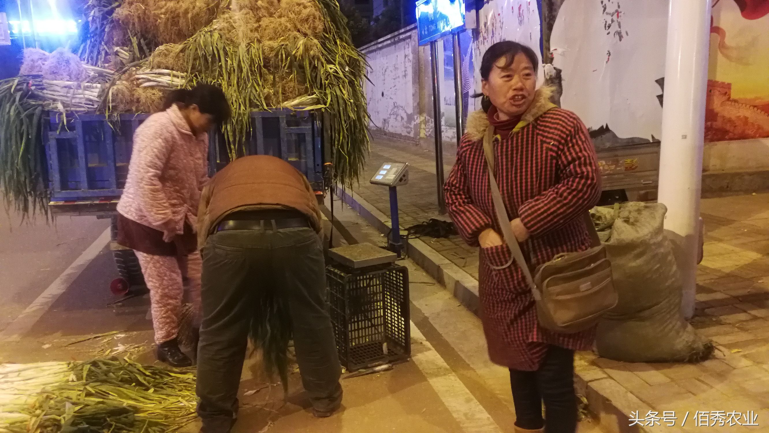 乡村路边摆摊卖水果经验,小伙摆摊卖葱一小时赚100元