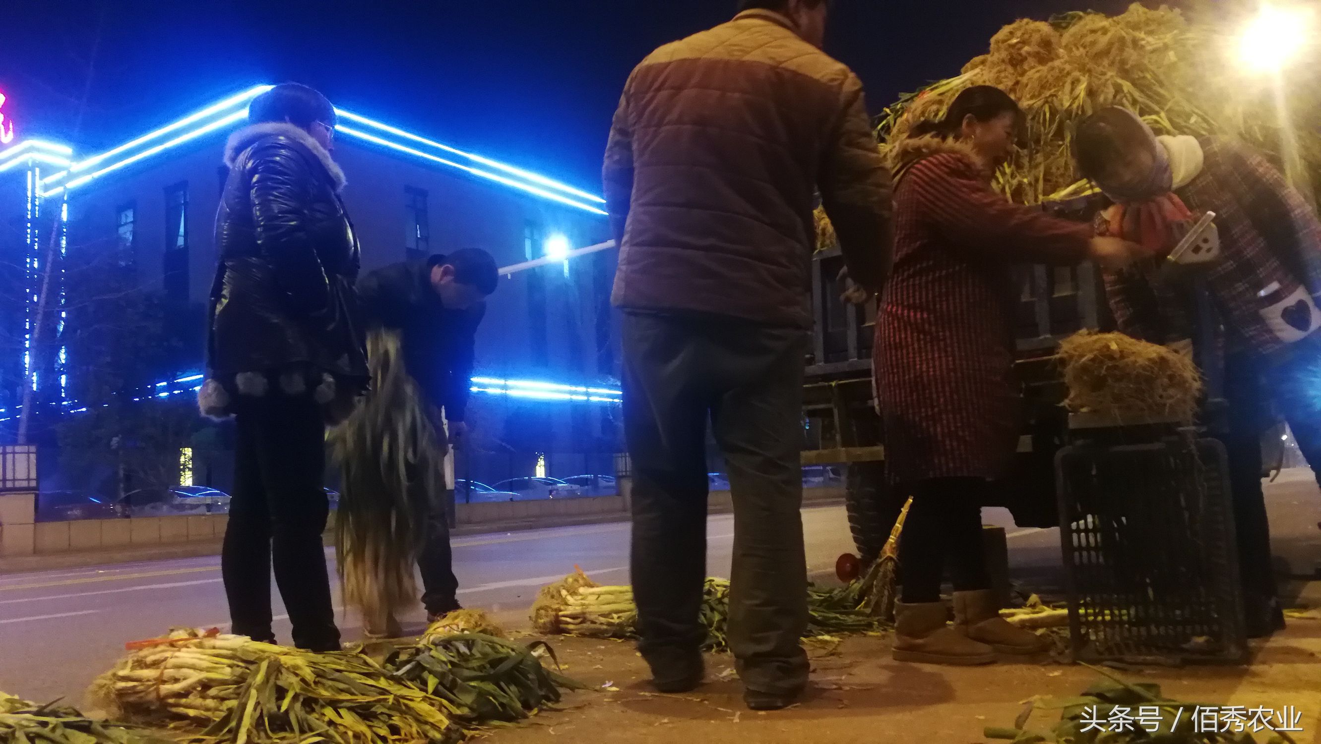 乡村路边摆摊卖水果经验,小伙摆摊卖葱一小时赚100元