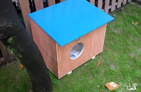 2017温暖继续！感谢CATS慈善基金连续五年为流浪猫提供温暖冬屋！