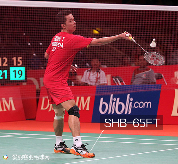 安赛龙和陶菲克,陶菲克vs安赛龙盖德完整版