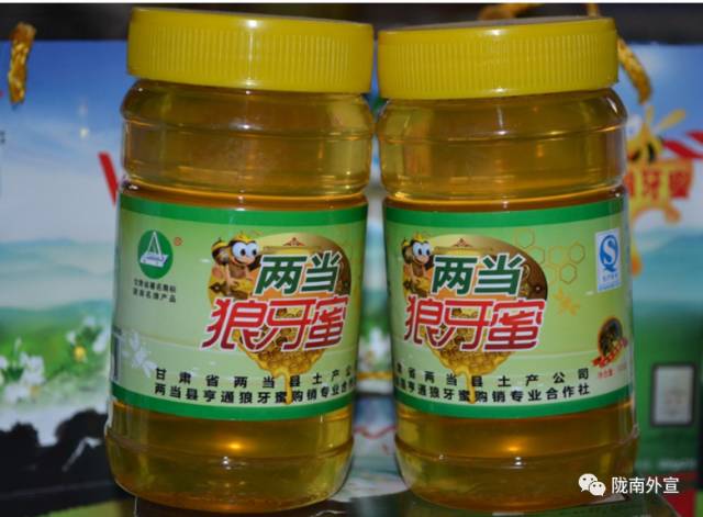 陇南433发展战略,陇南两当狼牙蜜宣传片