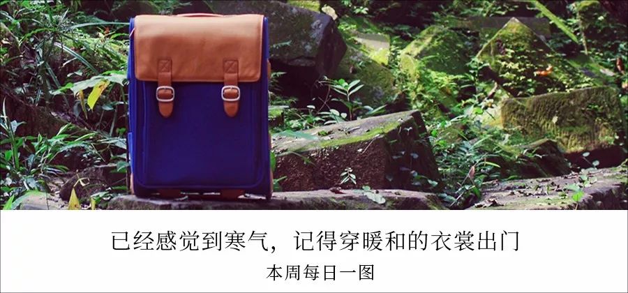 如何在网上订便宜酒店,什么网站订酒店最划算