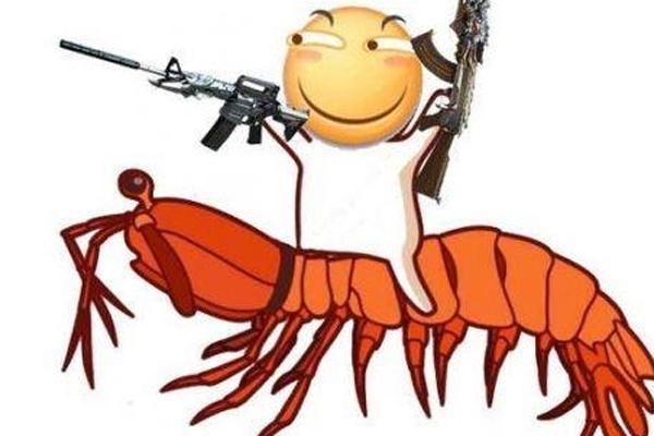 网络上的皮皮虾是什么梗,皮皮虾有什么梗