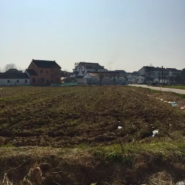 上海周边吃喝玩乐推荐,上海周边自驾游旅游农家乐推荐