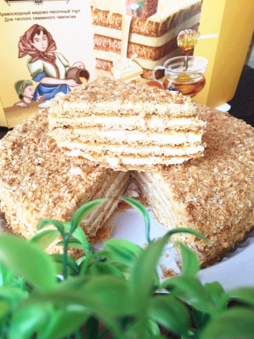 一元的提拉米苏,正宗俄罗斯风味奶油千层提拉米苏