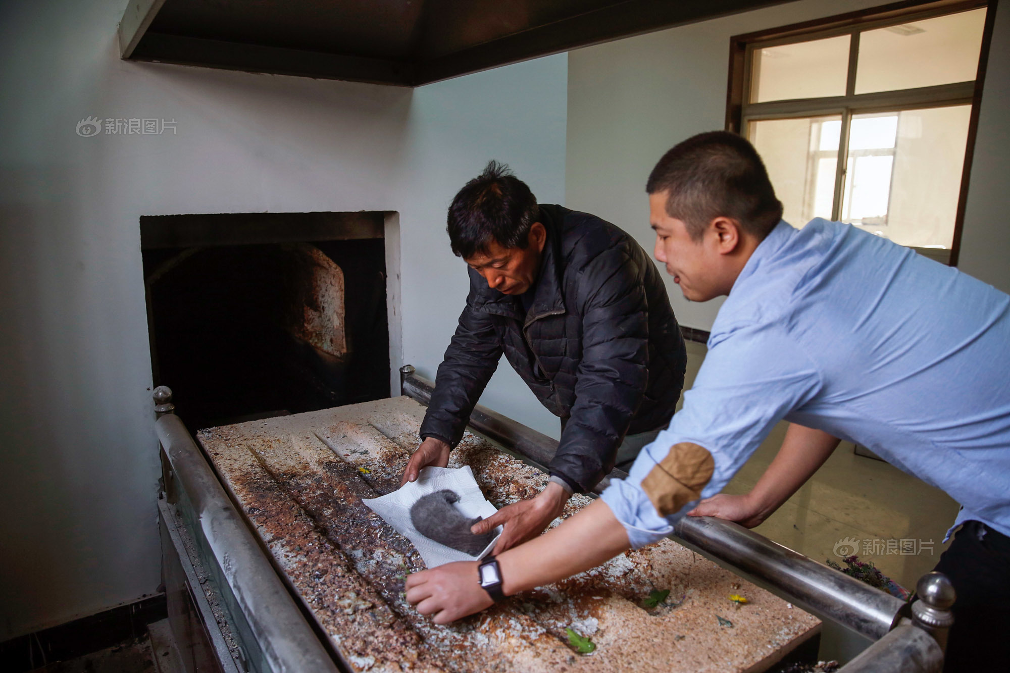 你会花1000元给宠物做殡葬吗,给宠物办葬礼你怎么看