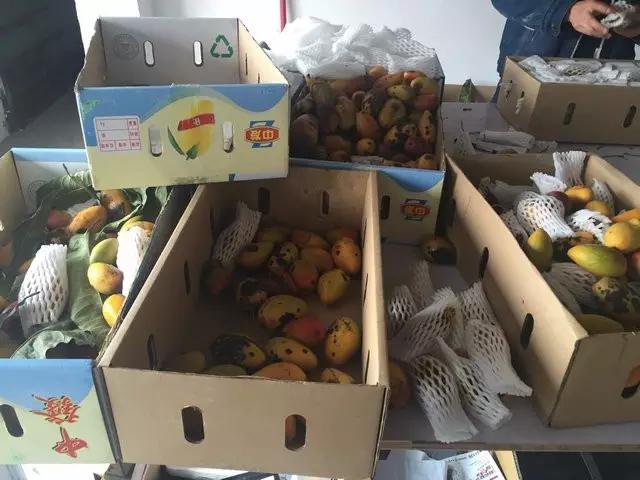 水果微商可以做什么生意,微商水果的利润有多少