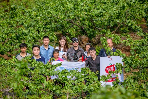 米易樱桃和凉山小樱桃,攀枝花米易黄草小樱桃