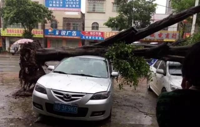 惠州天空出现奇幻景象,广州雨后现海市蜃楼
