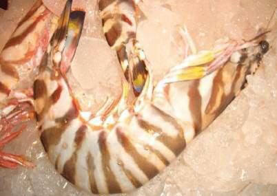 那些不认识的海鲜小干货,超级干货2022