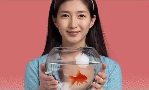 旋风十一人江疏影踢胡歌是第几集,胡歌江疏影旋风十一人啥时候开机