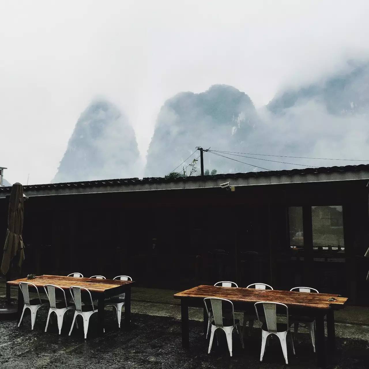 又到了动物们交配的季节，请站在宇宙中心用力呼唤爱！