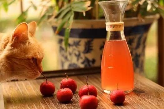 春天宝宝腹泻如何调理,春季宝宝腹泻怎么补