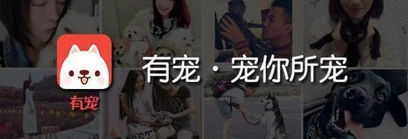 狗狗吃冰淇淋和蛋糕,狗狗在吃蛋糕