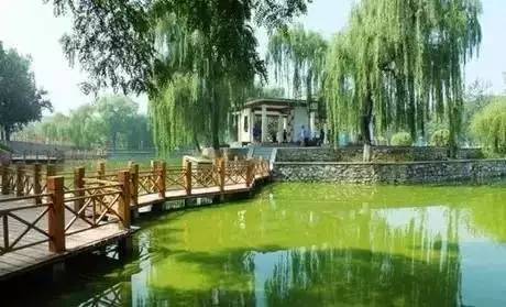 广州地铁线路图建议收藏,收藏各地地铁