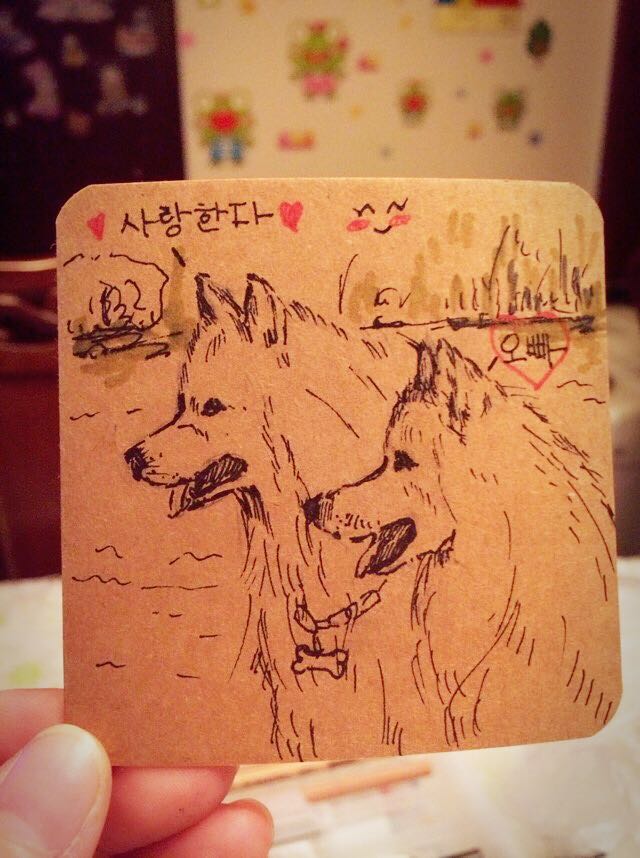 不是做网红而是做有内容的服务者,网红用户体验