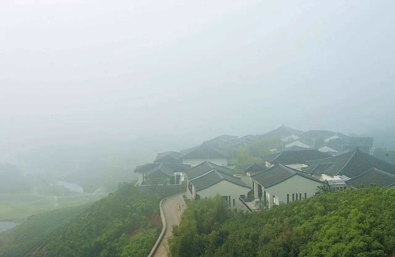 杭州茶园民宿酒店推荐,清明假期酒店推荐