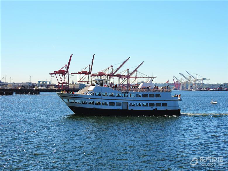 西雅图油价,西雅图油价多少钱