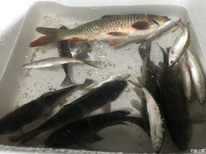 东征西讨和南征北讨,东征西讨南伐大漠