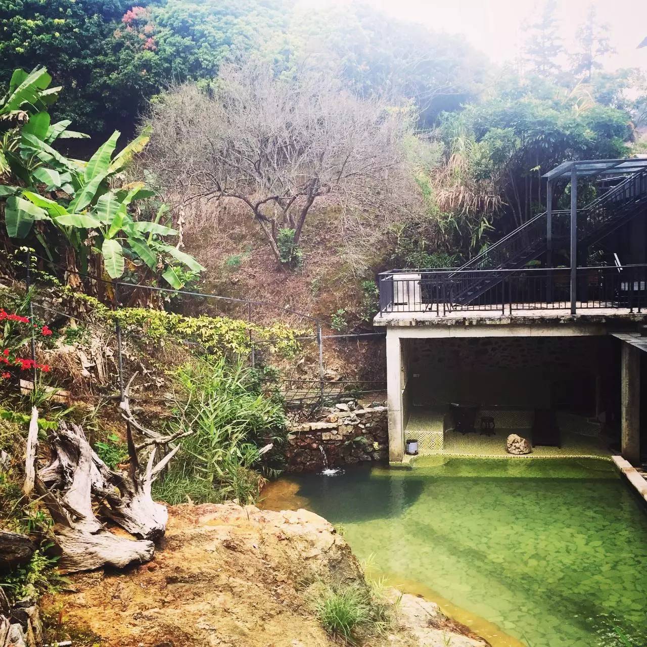 又到了动物们交配的季节，请站在宇宙中心用力呼唤爱！