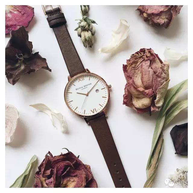 18万左右的名表,1500元左右的dw手表