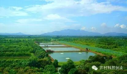 农村新商机小本创业,适合农村创业的小本点子