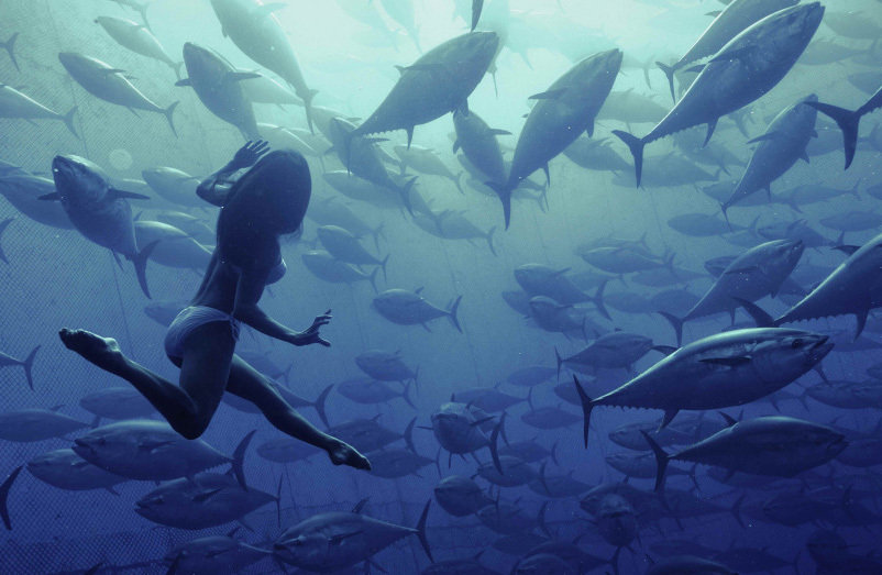 金枪鱼沙拉孕妇可以吃吗,孕妇吃了金枪鱼