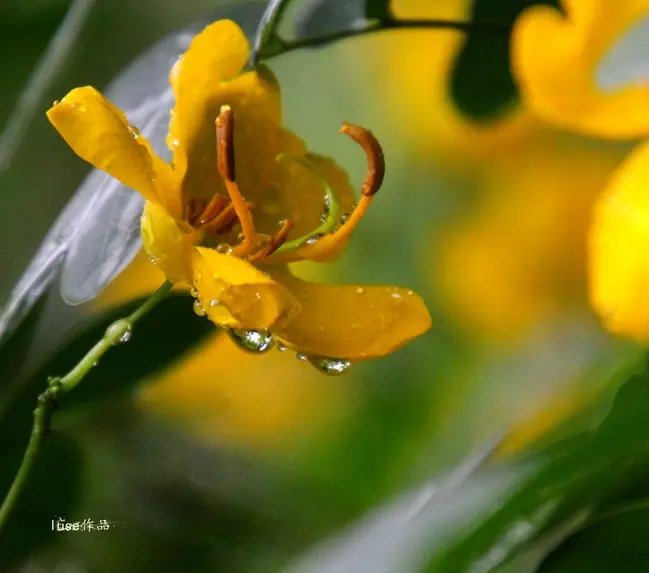 三亚最美的夕阳日落,夕阳的落下
