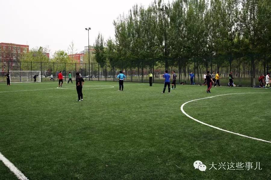 免费的运动场地一般在哪里,朝阳区免费运动场地