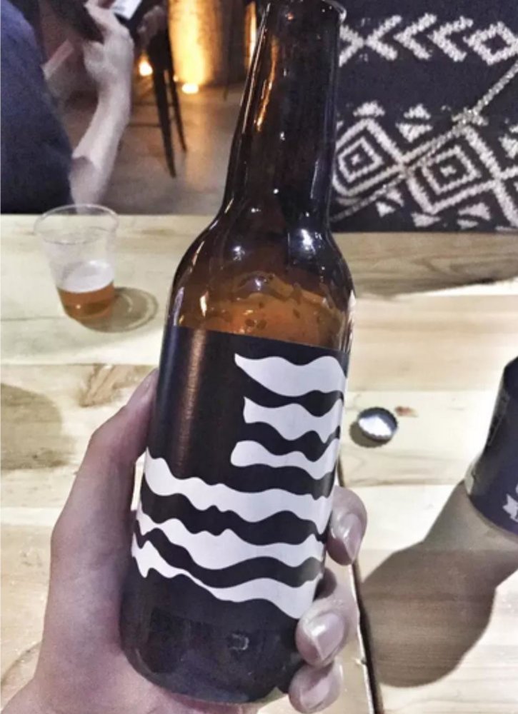 辫儿爷的视频,辫儿爷