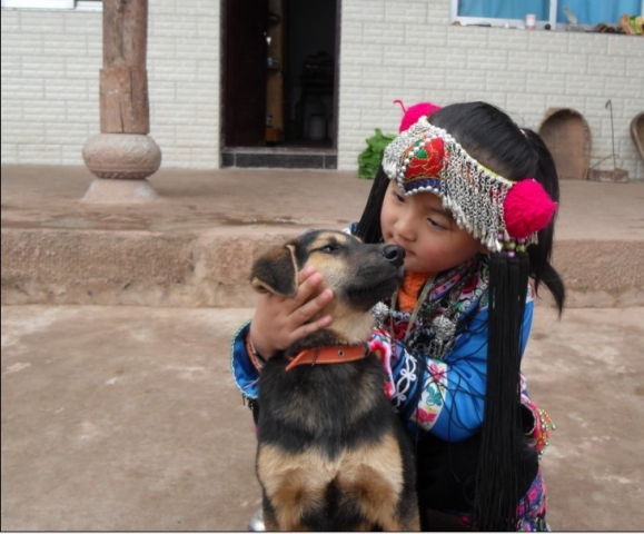 武定县珠宝,武定县银器