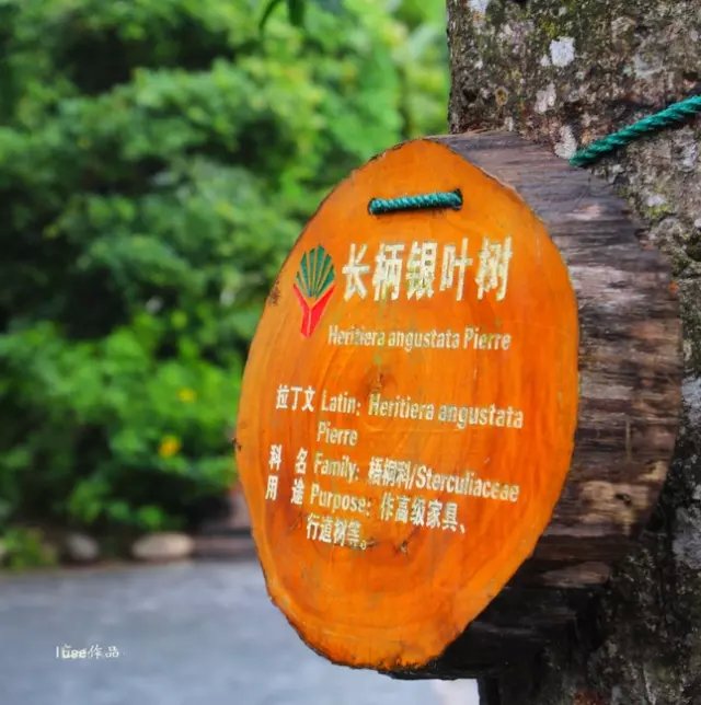 三亚最美的夕阳日落,夕阳的落下