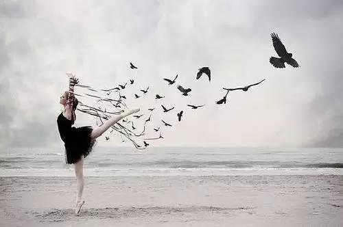 曲家瑞：我最恨你了Bob教授