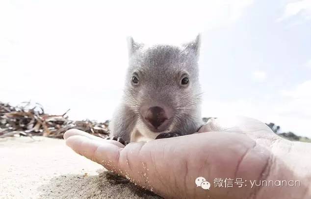 国企职工停职停薪创业,云南省停薪留职