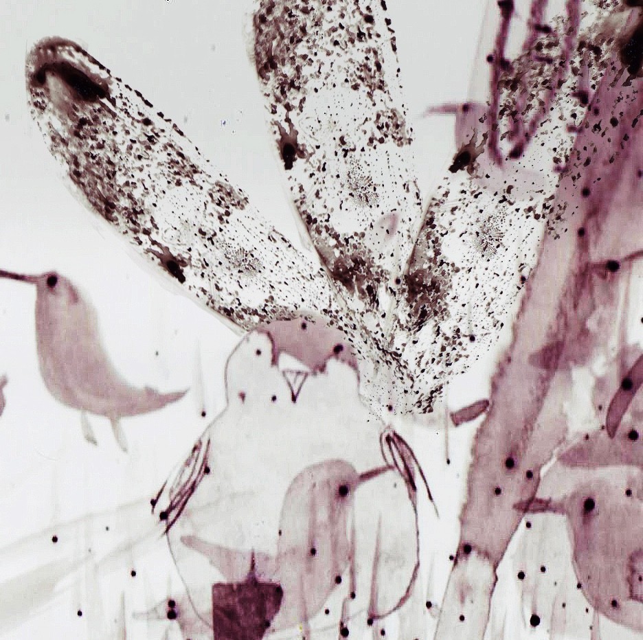 明明可以靠颜值却偏偏靠才华画画,明明能靠颜值非要靠画画