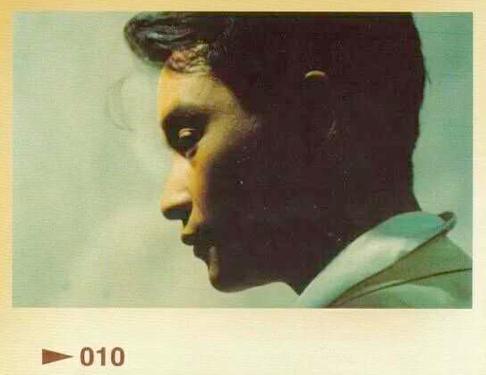 有男人气概的中国男明星 (哪个男明星可以称得上是风华绝代)