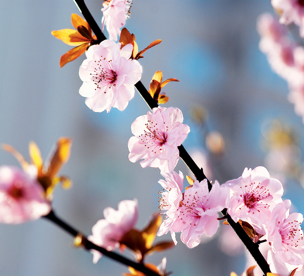 佳能测光模式图标什么意思,佳能相机四种测光模式详解