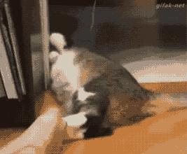 纯露能代替精华吗,爽肤水大马士革玫瑰纯露爽肤水女