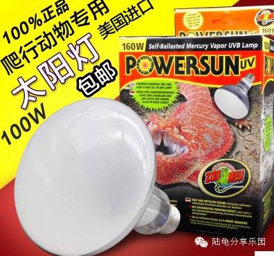 东莞养龟设备,养龟的一套设备大约多少钱