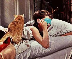 买不起的毛线球,8万7的tiffany毛线球