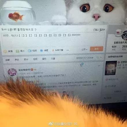 网友家的猫坐键盘上，偶然竟打出这几个字，可以说，细思极恐了！