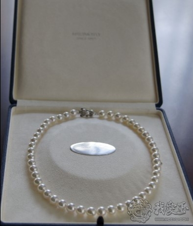 日本海水珍珠和akoya区别,akoya珍珠日本官网