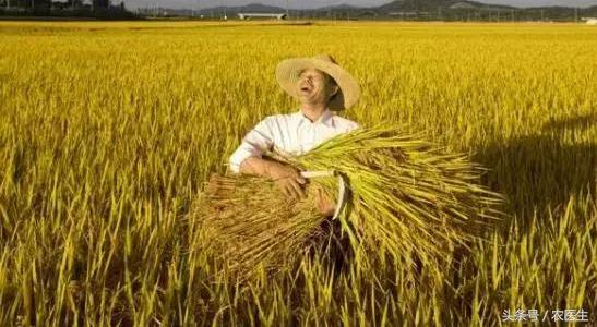 土地流转到底是谁在受益呢,土地流转如何获利