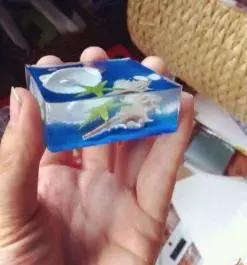 怎么把鲜花做成标本不会枯萎,透明树脂胶怎么制作鲜花标本